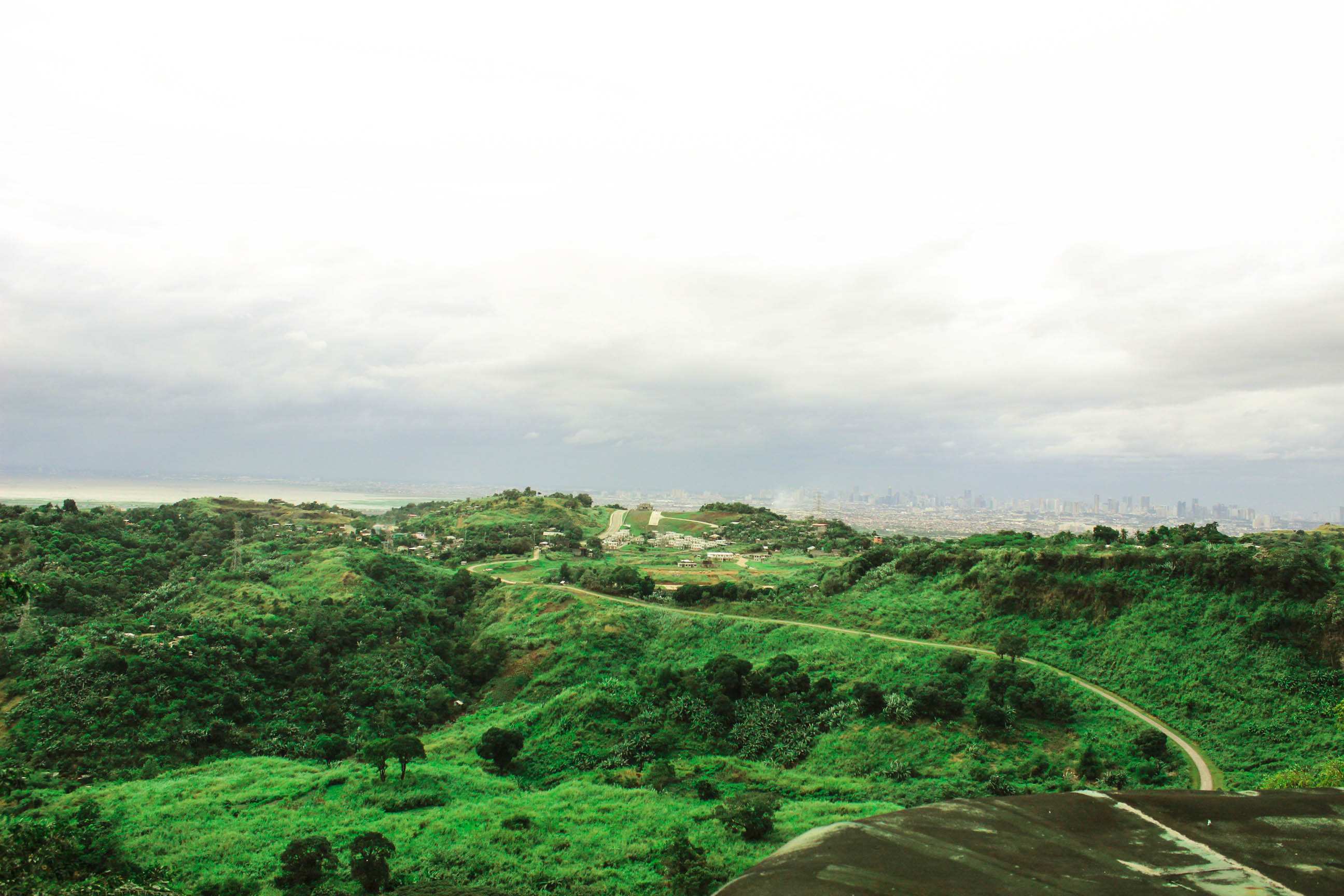 Green Antipolo